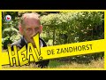 HEA! Tuin de Zandhorst