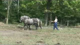 preview picture of video 'Nature Quest Draft Horse Clinic'