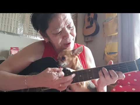 download lagu mp3 mp4 Kara Everly Wind, download lagu Kara Everly Wind gratis, unduh video klip Kara Everly Wind