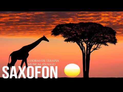 MÚSICA DE LUJO PARA HOTELES 5 ESTRELLAS RESTAURANTES SPA SAXO MARAVILLA