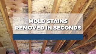 RMR-86 Pro Instant Mold Stain Remover