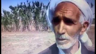الحاج مقود رانا تنكنا