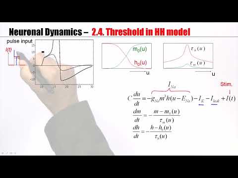 CNS2.4 - Threshold in the Hodgkin Huxley Model