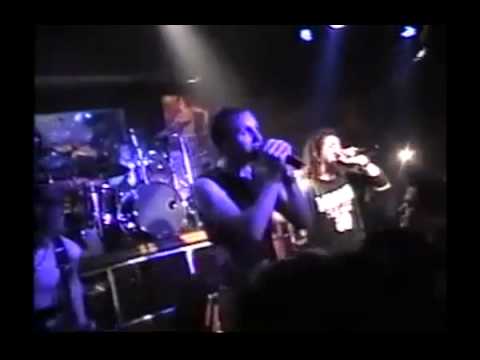 Darwin's Waiting Room (Unofficial) Live for the Moment