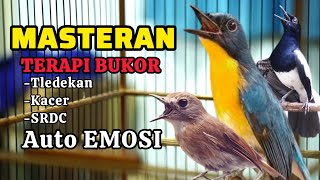 Download lagu TERBUKTI AMPUH, MERANGSANG EMOSI TLEDEKAN GUNUNG, SRDC DAN KACER mp3 Download lagu TERBUKTI AMPUH, MERANGSANG EMOSI TLEDEKAN GUNUNG, SRDC DAN KACER mp3