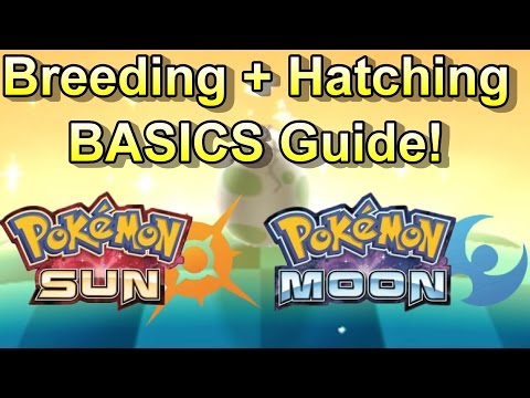 Breeding + Hatching BASICS In Pokemon SUN and MOON! (Breeding Help Guide + Tips!)