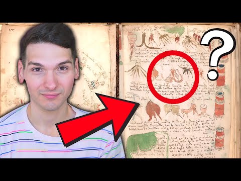 I SOLVED the Voynich Manuscript?! Conspiracy Theory PSYCHIC READING