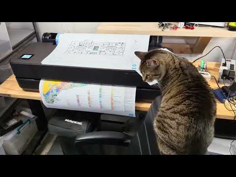 Kitty Meeting the  new HP T210 Printer