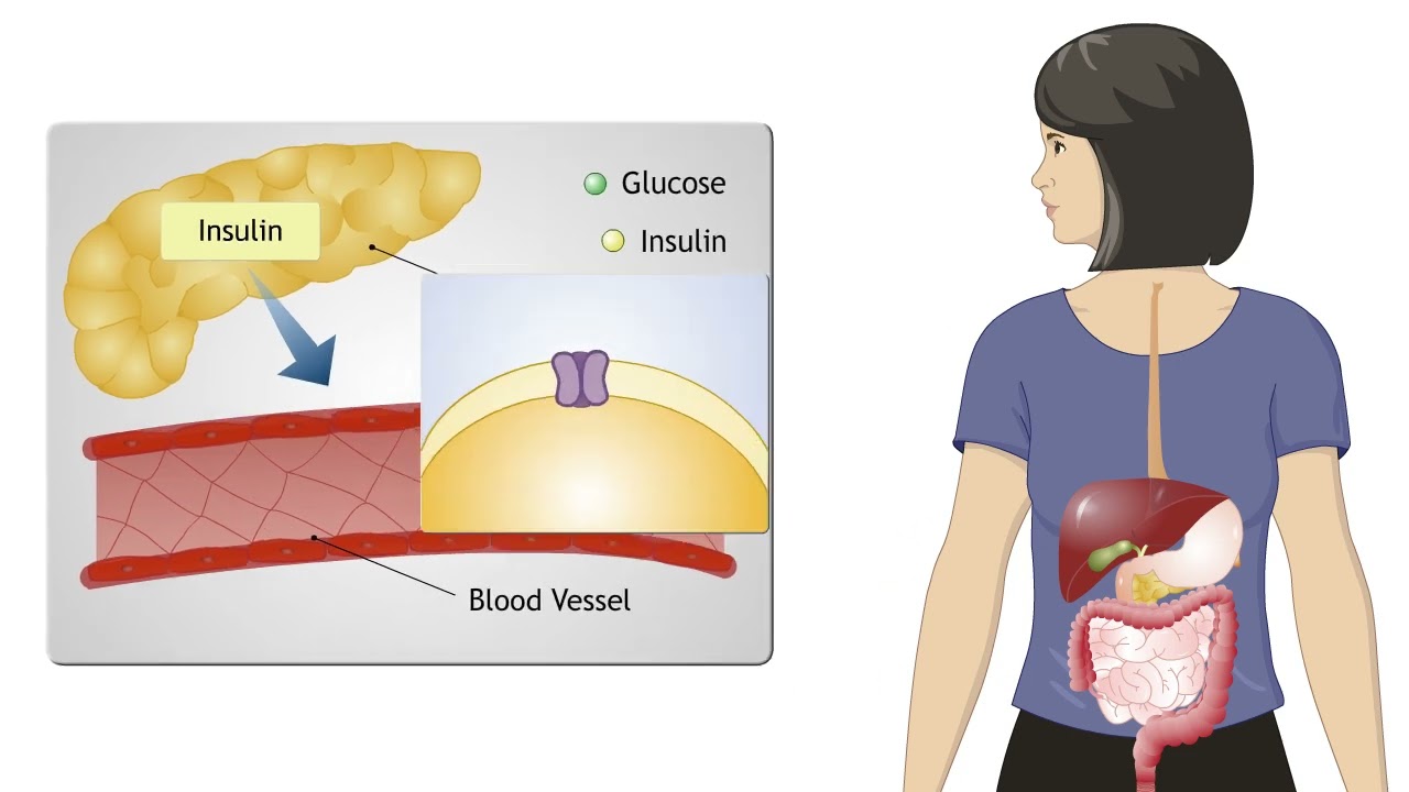 Microbiology Animations video