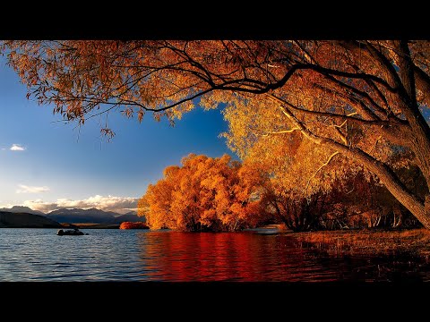 Morning Flute Music | Himalayan Flute Music | Meditation Music | (बाँसुरी) Aparmita Ep.28