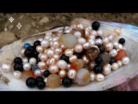 Black pearls / Wild shells surviving in dry ponds, mined for large quantities of freshwater pearls