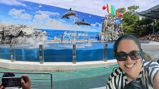 Dolphin show Safari world Bangkok, amazing show