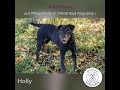 Holly Sucht DRINGEND Ihre Endstelle Zum Ankommen