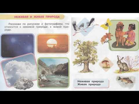 Учебник вслух - Окружающий мир 1 класс ч.1, Перспектива, с.8-9, тема ...