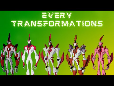 EVERY WAY BIG TRANSFORMATIONS