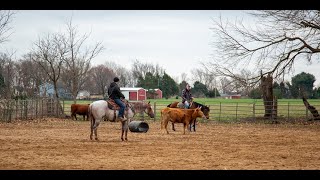 Video 1