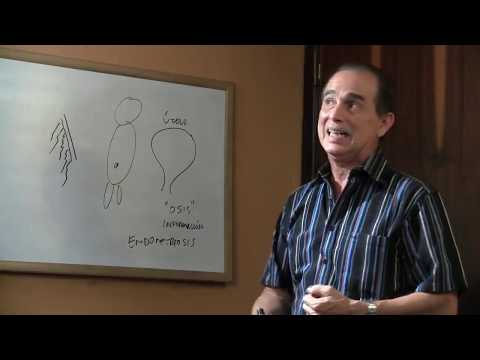 Episodio #837 Las causas de la endometriosis