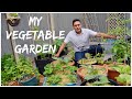 May Garden Tour | Inspiring Vegetable Garden Ideas