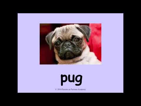 Ug Word Family and Pictures