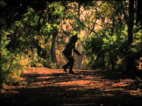 Carlton 'Camouflage'