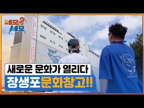 [네모세모] 울산 장생포에 가면 즐거움이 팡팡!