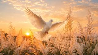 God Brings Me Peace - HOly Spirit Heals All Pain - Clearing All Dark Energy, Stop Overthinking