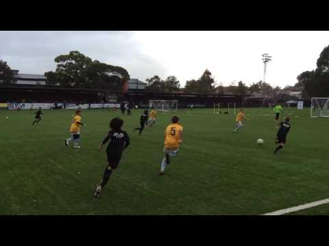 MVP Academy (Pedj Bojic) U10 Highlights 2016