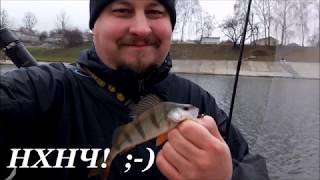 Crazy Fish Polaris 1.2" / 42-73 - відео 2