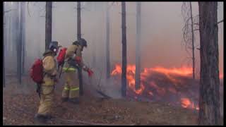 9 из 10 причин возгораний связаны с деятельностью человека