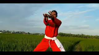Download lagu PAGAR NUSA GASMI BOLOROSO LAMONGAN (Kang Rokhim) Pendekar Lamongan mp3
