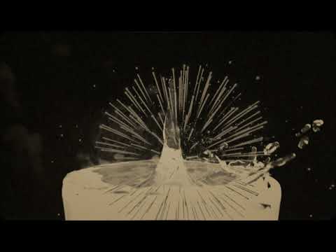 Just Hush - NOT Ü (Official Music Video)