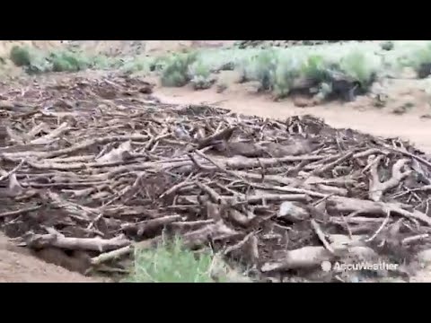 Reed Timmer's top 5 storm chases of 2018