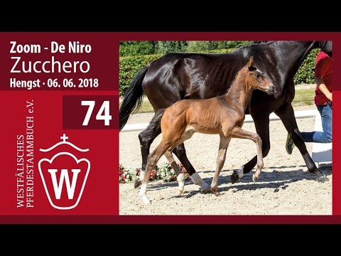 074 Zucchero HF v. Zoom - De Niro