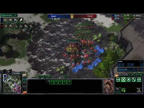 Pro PvZ: Neeb vs TRUE