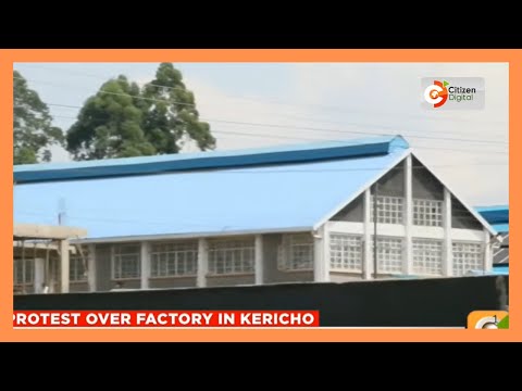 Residents of Kapsuser in Kericho County oppose the opening of a lead casting factory