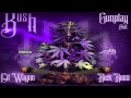 Gunplay - Kush feat. Lil Wayne & Rick Ross [Official Audio HD]