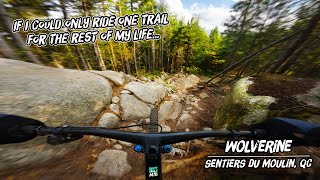 The best MTB trail east of the Rockies!