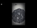 I Made A Song Enjoy Fried Rice At Eddies