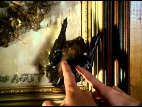Vorschaubild für Black Sheep Trailer