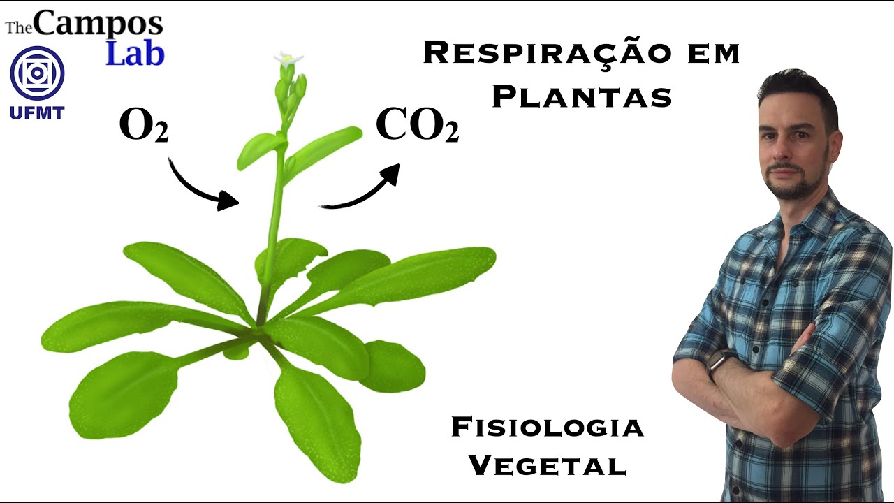 Respiração em Plantas (1/3): Introdução a Respiração e Glicólise