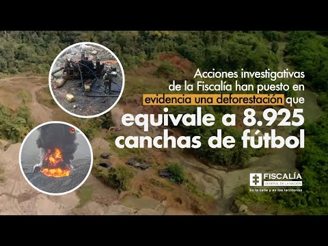 Fiscal Francisco Barbosa: Fiscalía evidenció deforestación que equivale a 8.925 canchas de fútbol