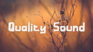 VIBRALVX - Lilt (feat. Julia Vadström)