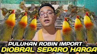 Download lagu IMPORTIR MEMANAS PULUHAN ROBIN IMPORT DIJUAL SEMURAH INI DIKIOS ALHAMDULILLAH PASAR BURUNG PRAMUKA mp3