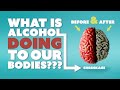 10 SURPRISING ways that ALCOHOL HURTS our HEALTH!!! - (Episode 181) #sober #sobercurious #sobriety