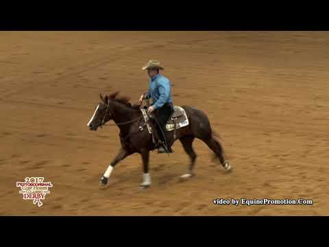 SJR All Time Cash - 2017 NRCHA Celebration of Champions - Non Pro Derby