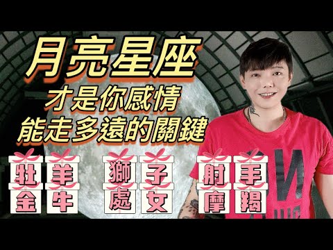 星座 月亮