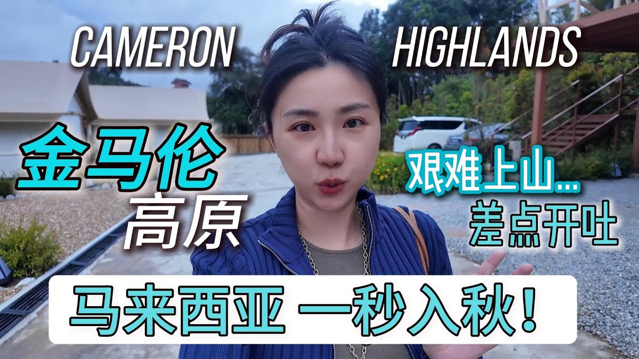 Cameron Highlands在大马穿毛衣？自驾金马伦高原避暑 | 盘山公路惊险又美 | 禅意度假酒店+高原火锅体验