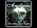 Analgesia - Revolution Has Begun 