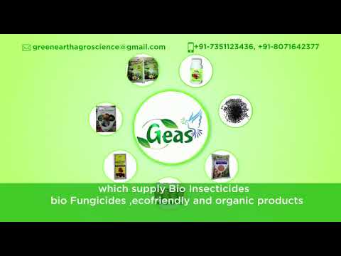 Geas organic plant growth regulators, pack size: 10 g