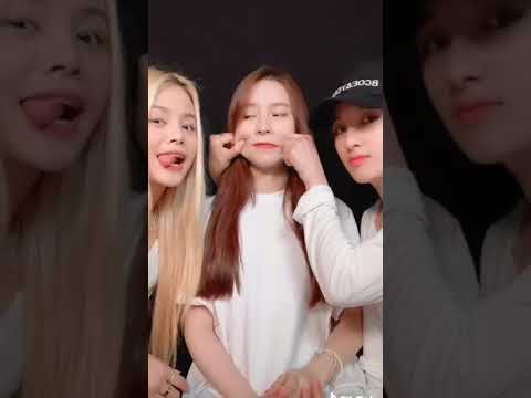 [CLC] TIKTOK challenge(Seunghee Sorn Elkie)